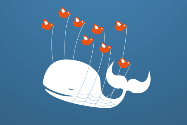 The infamous fail whale would show up when twitter was having problems.